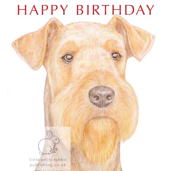 Angus the Airedale Terrier - Birthday Card