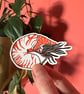 Nautilus Lino Print Vinyl Sticker - Image 1