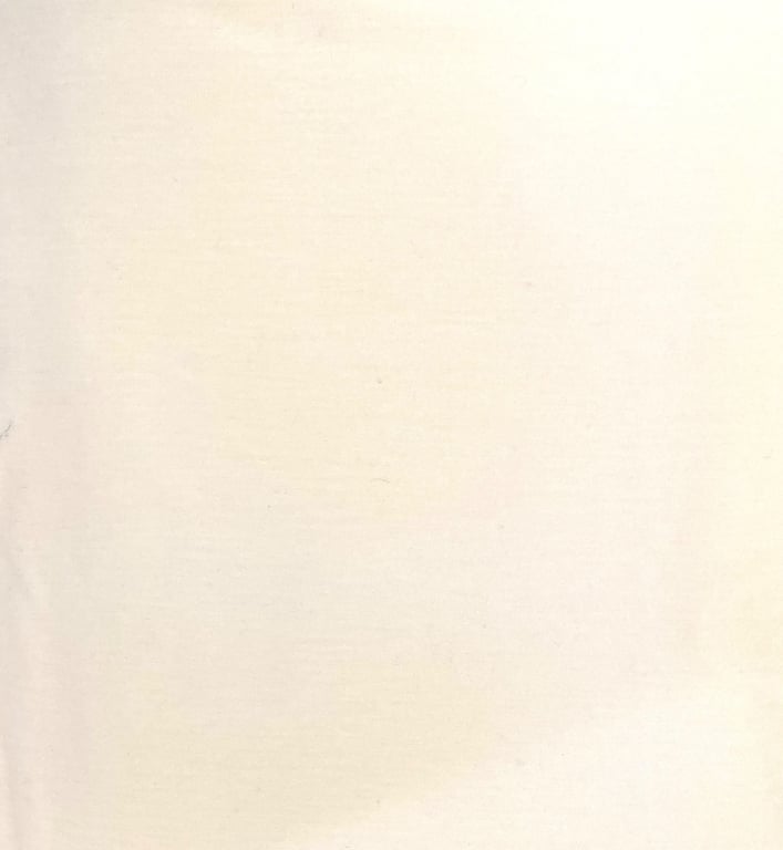 Ivory Cotton Jersey Fabric