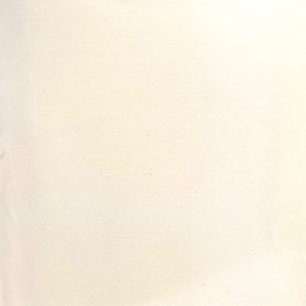 Ivory Cotton Jersey Fabric