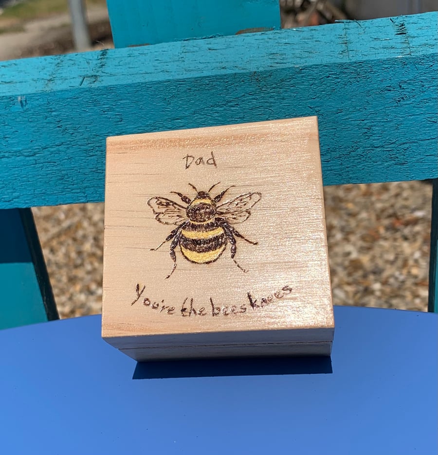 Dad bee change box