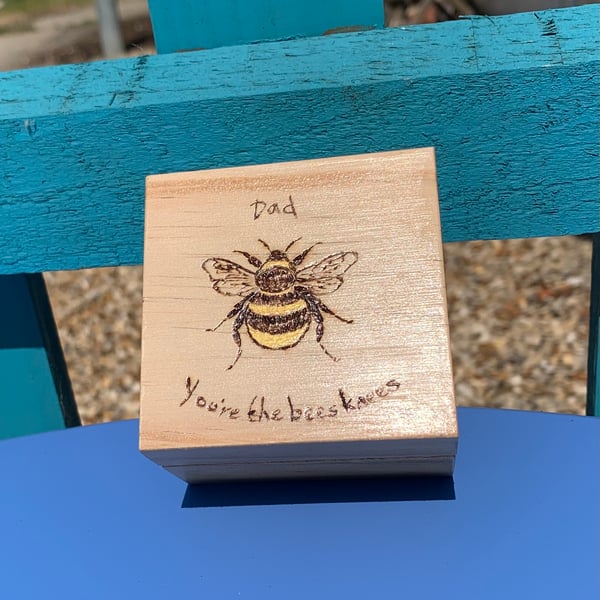 Dad bee change box