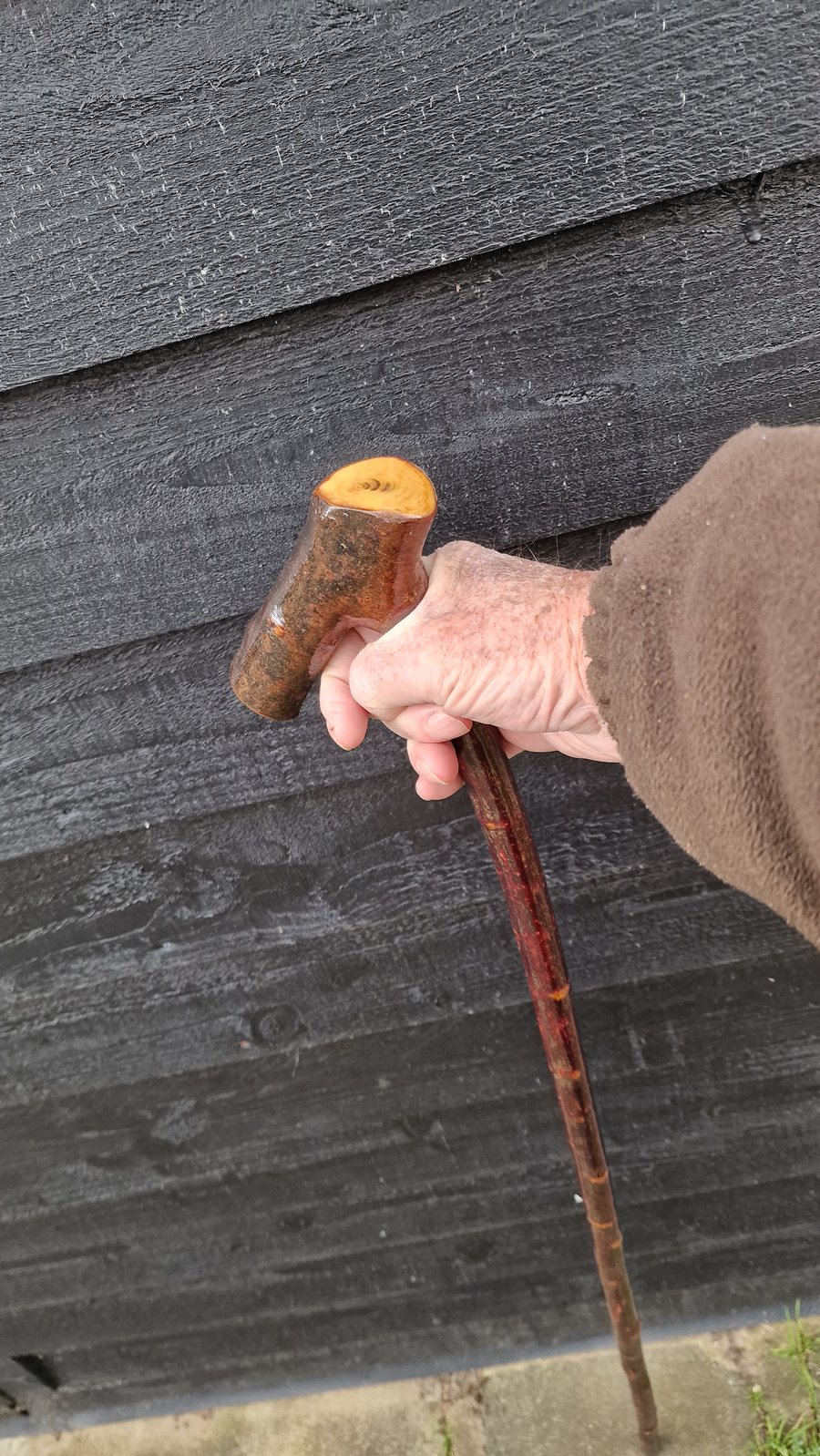 Blackthorn walking stick, semi crook, Hiking staff