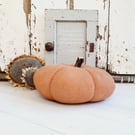 Large Orange Pumpkin