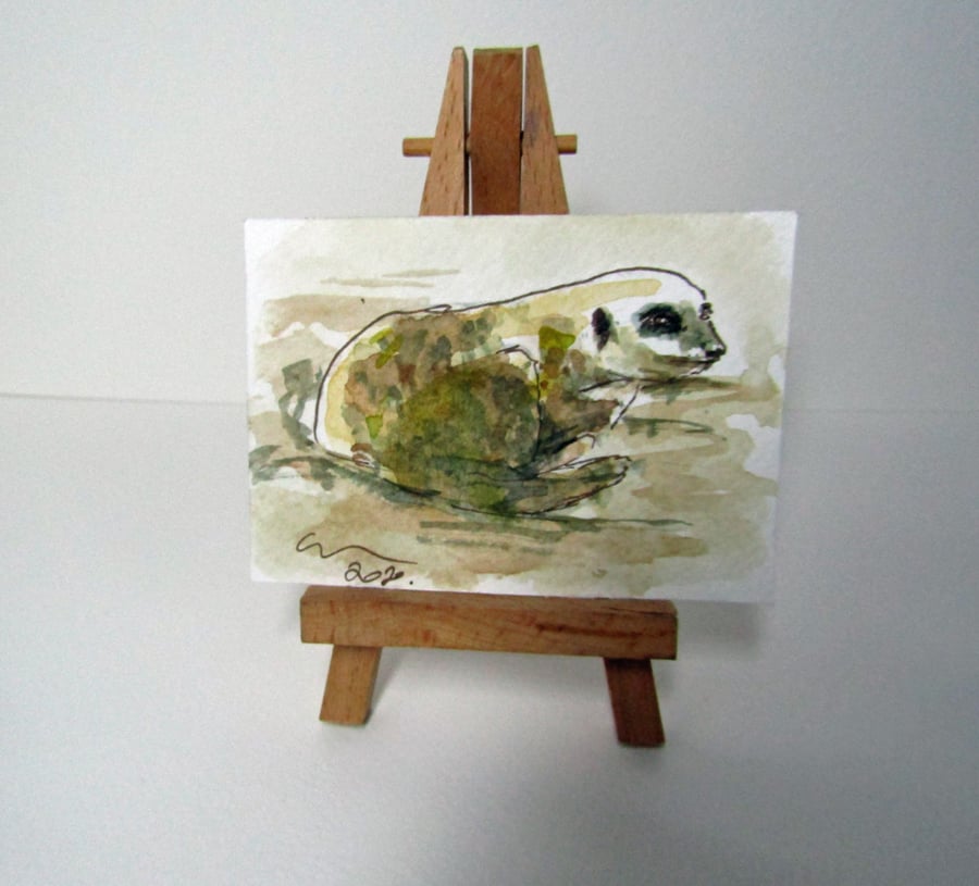 ACEO Art Meerkat Nestle Original Watercolour & Ink Painting OOAK