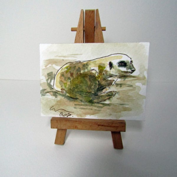 ACEO Art Meerkat Nestle Original Watercolour & Ink Painting OOAK