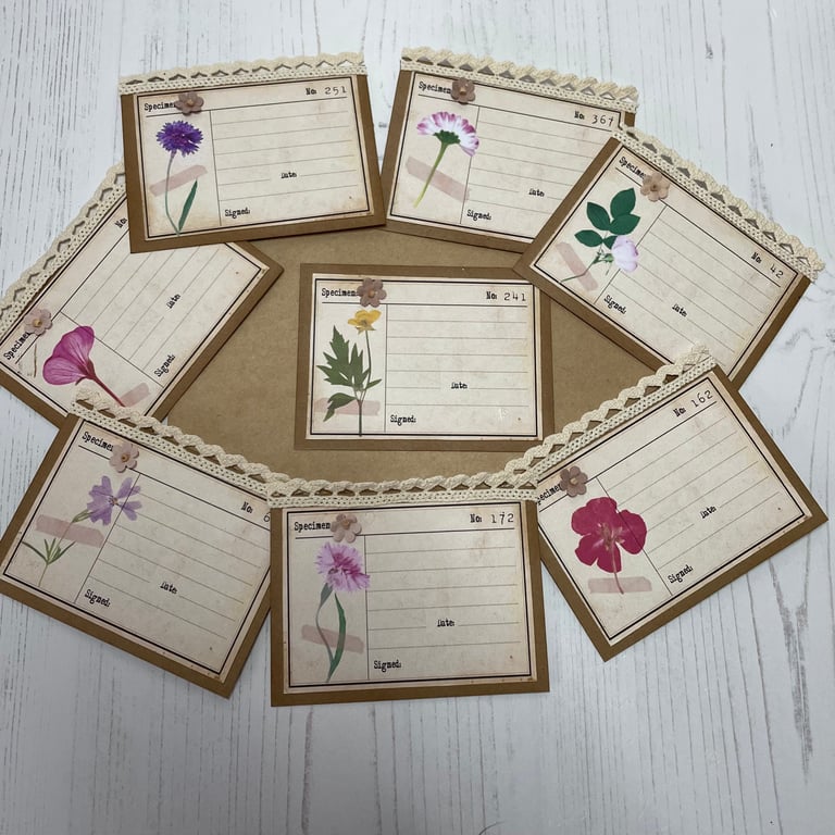 Ephemera - Botanical Set of 7  specimen cards by Carolee Crafts PB8  0020