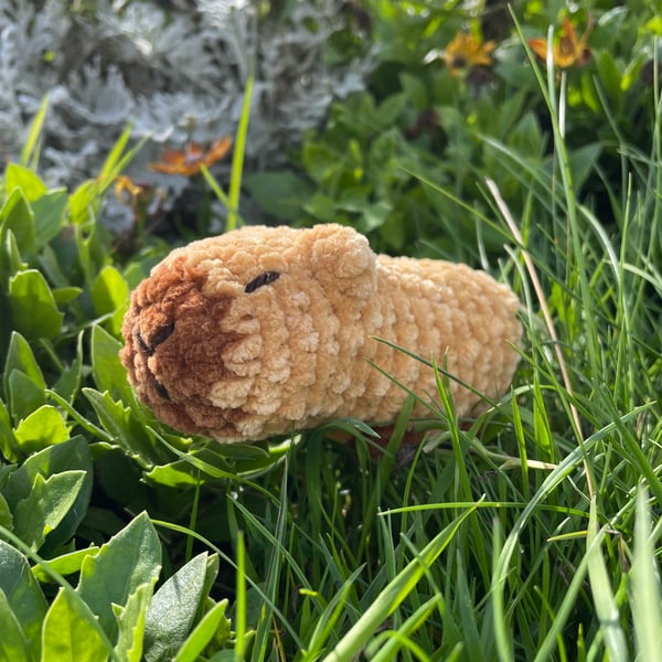 Sleepy Plushie Capybara 