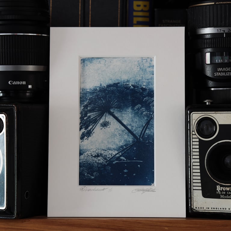 Cyanotype Botanical Photo Print O.O.A.K mounted in a 5 x 7inch matt 