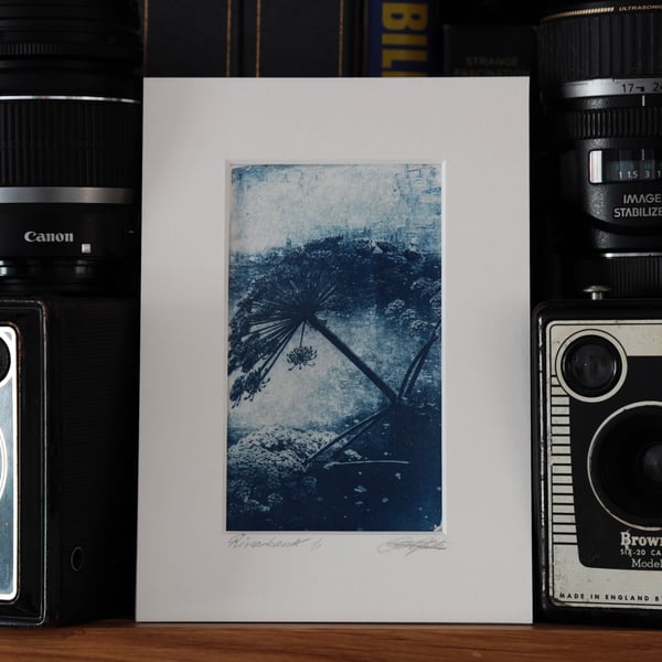 Cyanotype Botanical Photo Print O.O.A.K mounted in a 5 x 7inch matt 
