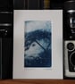 Cyanotype Botanical Photo Print O.O.A.K mounted in a 5 x 7inch matt 