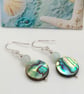 Amazonite and Paua Shell earrings sterling silver