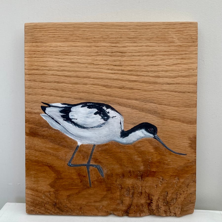 Avocet hand-painted on Oak wood