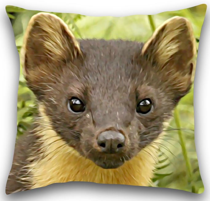 Pine Martine Cushion Pine Martine cushion cover