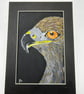 Original eagle painting 5x7" wildlife artwork  - Image 1