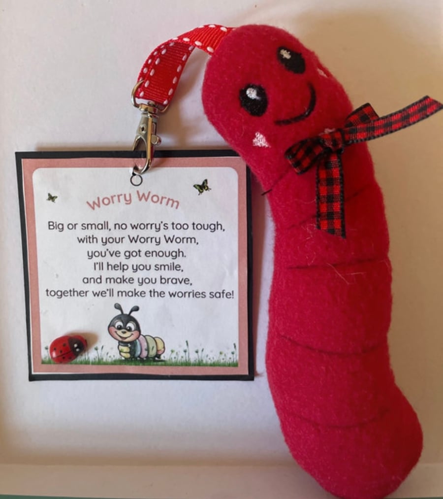 Homemade  Worry Worms send asd, semh , communication aid 