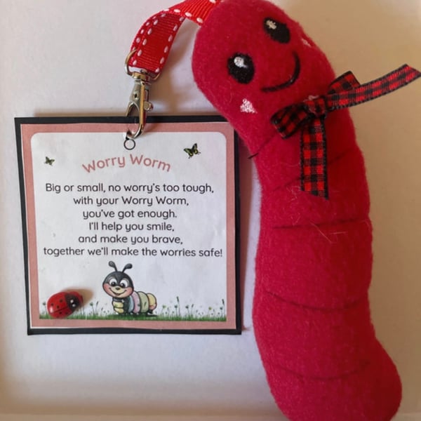 Homemade  Worry Worms send asd, semh , communication aid 