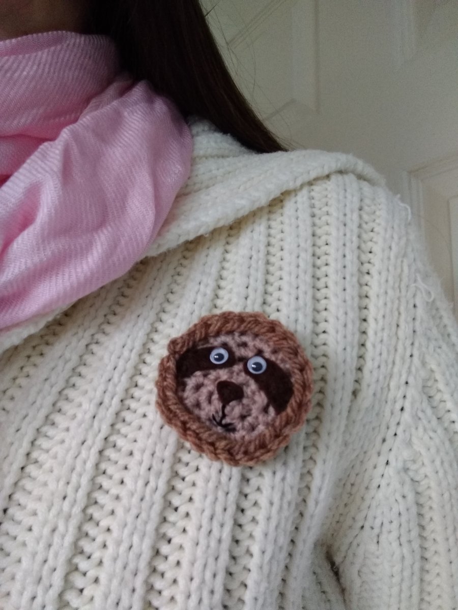 Sloth brooch, sloth lovers gift