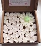 Coconut & Lime Highly Scented Wax Melts, VeganCruelty Free, Handmade in the UK - Image 2