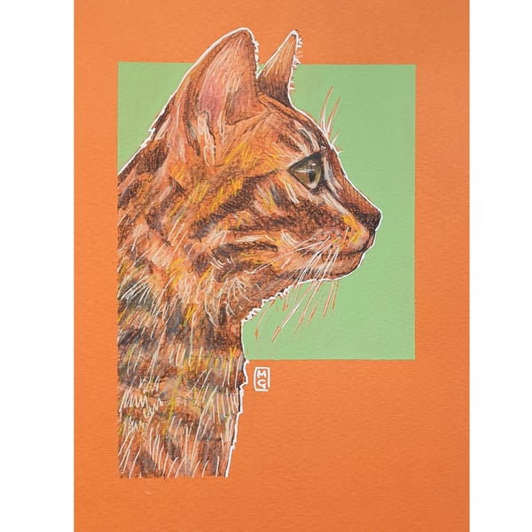 Cat Profile, Orange Tabby drawing - Original animal artwork