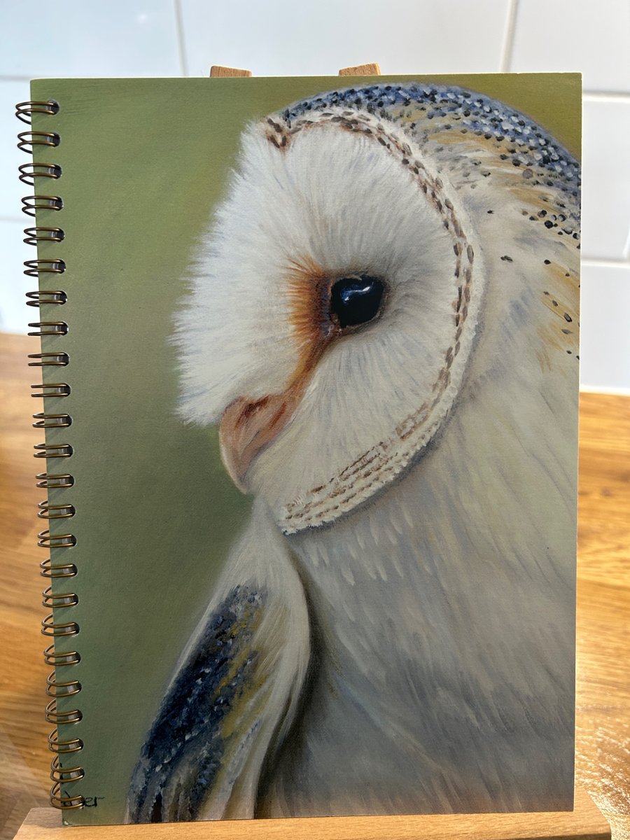 A5 Barn Owl Notebook