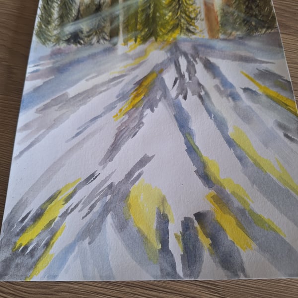 Snow forest, winter sun cast .