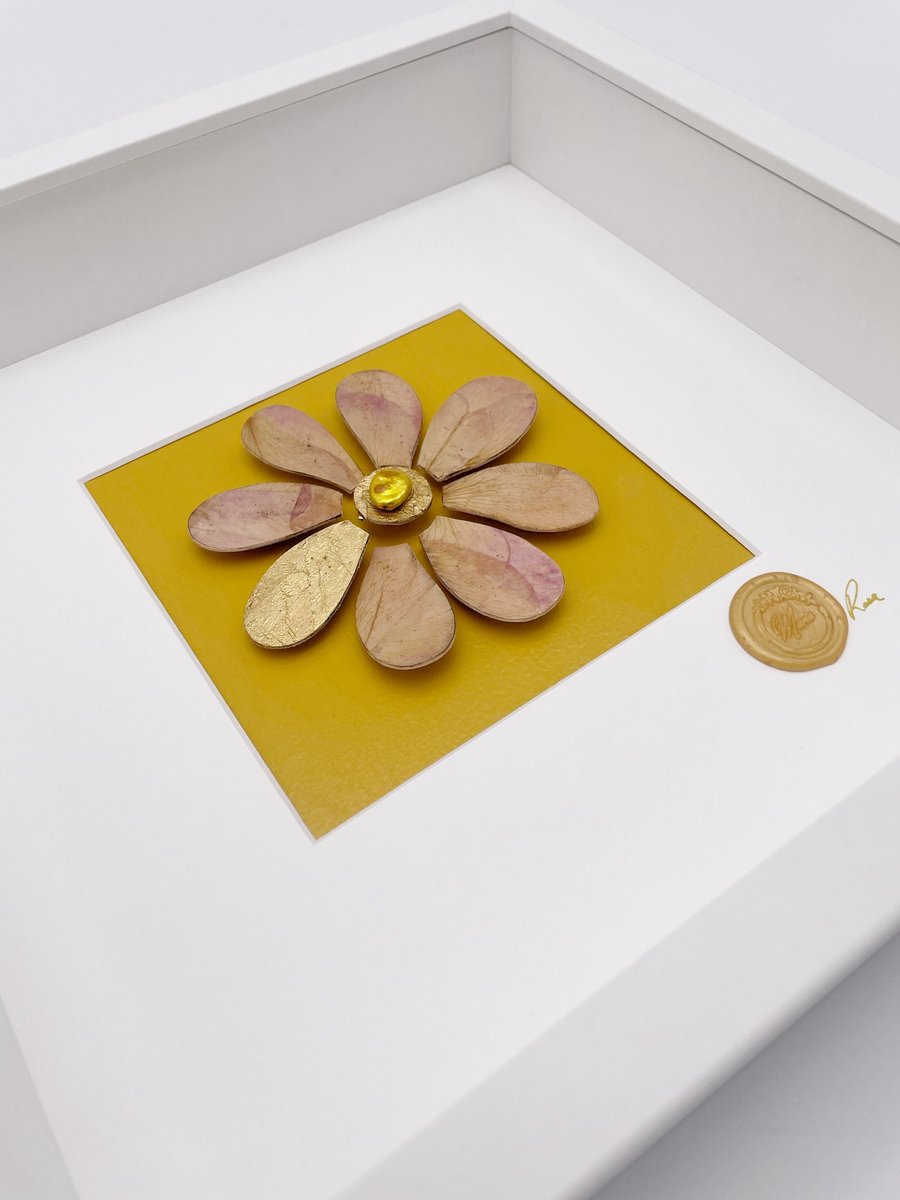 Marguerite-Rose – Signature Collection