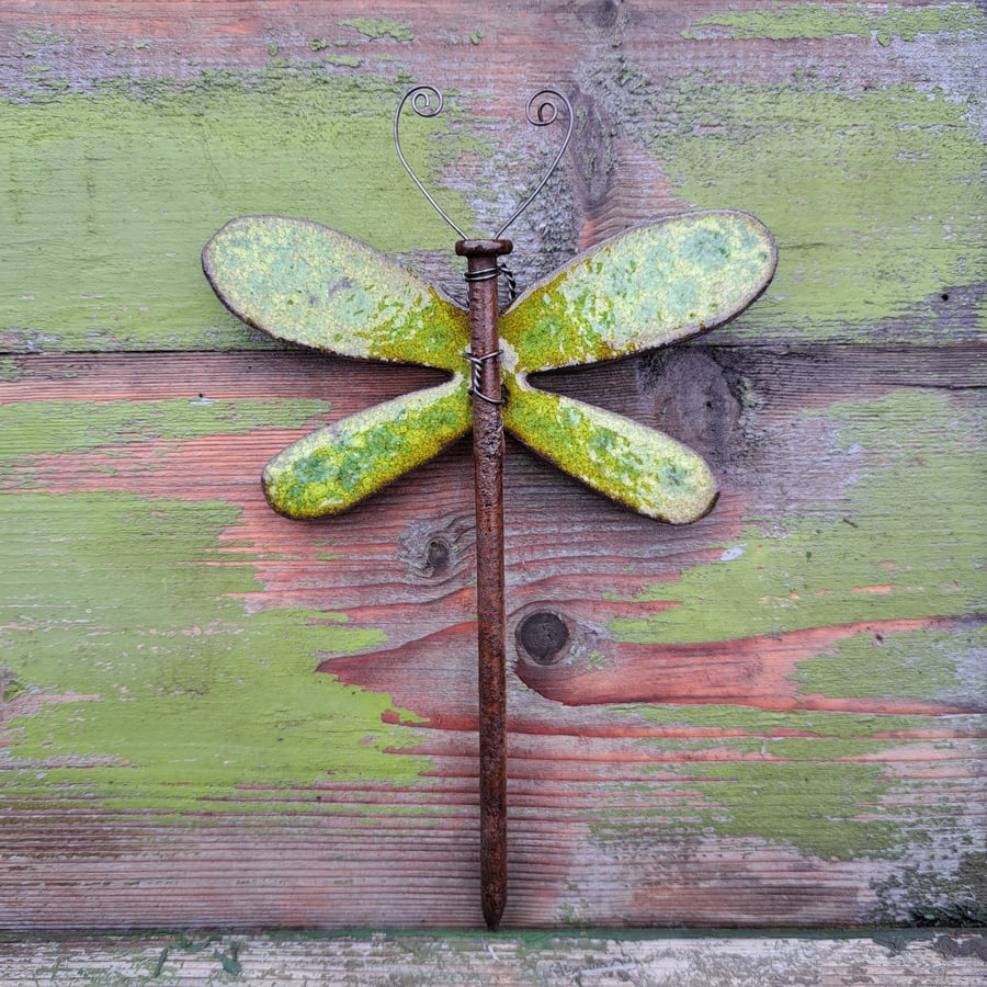 Dragonfly 