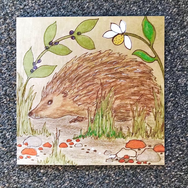 Hedgehog greetings card .