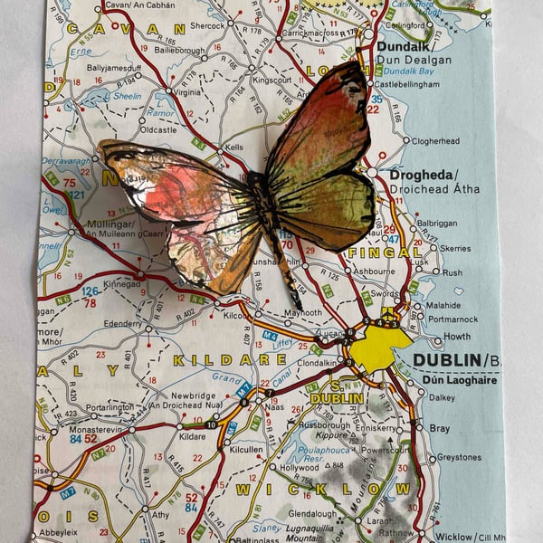 Dublin Bay Butterfly
