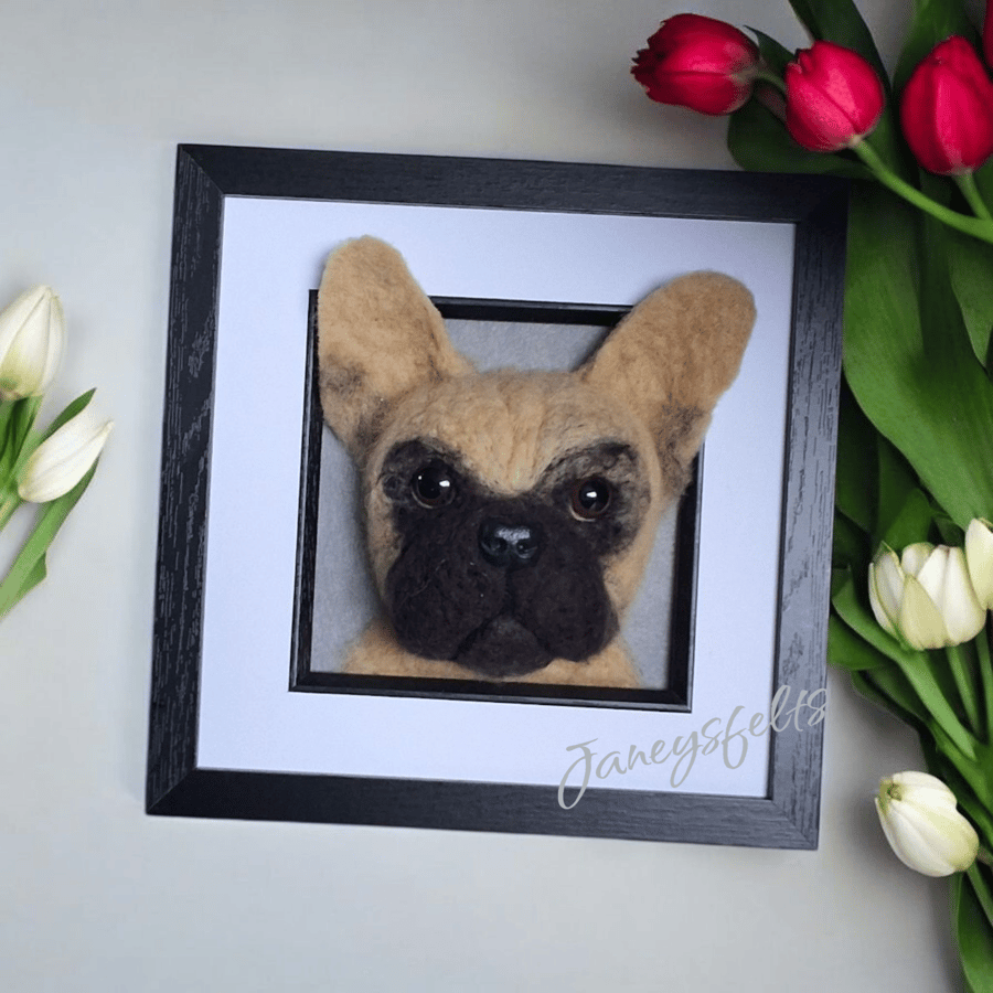 French Bulldog Portrait