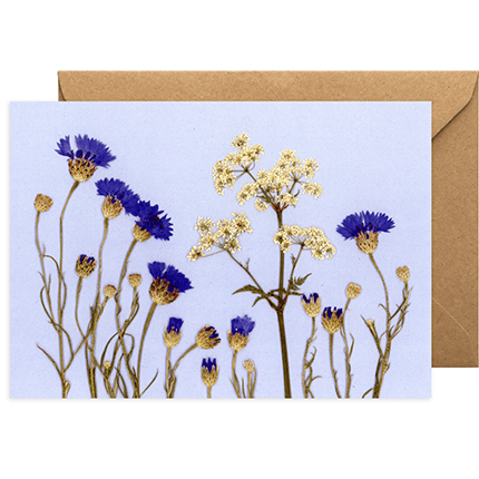 Any Occasion Pressed Flower Print Greeting Card - Cornflower