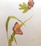 GATEKEEPER BUTTERFLIES - Colour pencil drawing  - Image 1