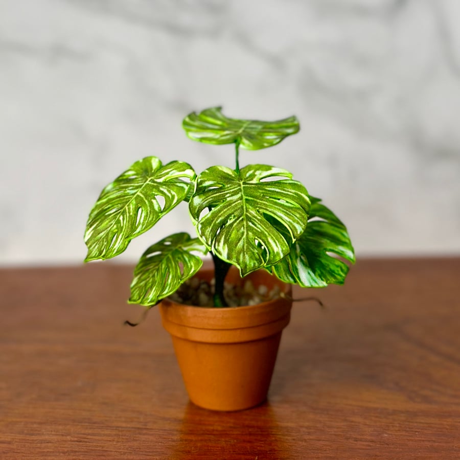 Miniature Variegated Monstera Plant - Handmade , 1:12 Scale, Dollhouse plant