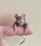 Mischief Mouse - Rufus - Image 7