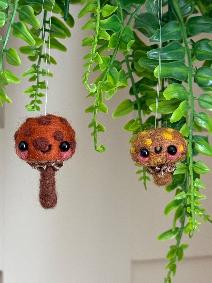 Mini Mushroom Brown Duo