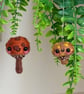 Mini Mushroom Brown Duo - Image 1