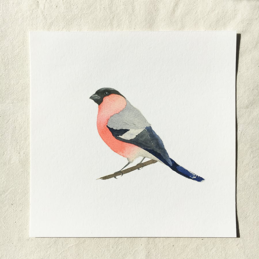 Watercolour bullfinch giclée print