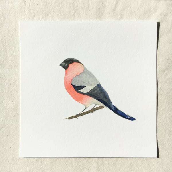 Watercolour bullfinch giclée print