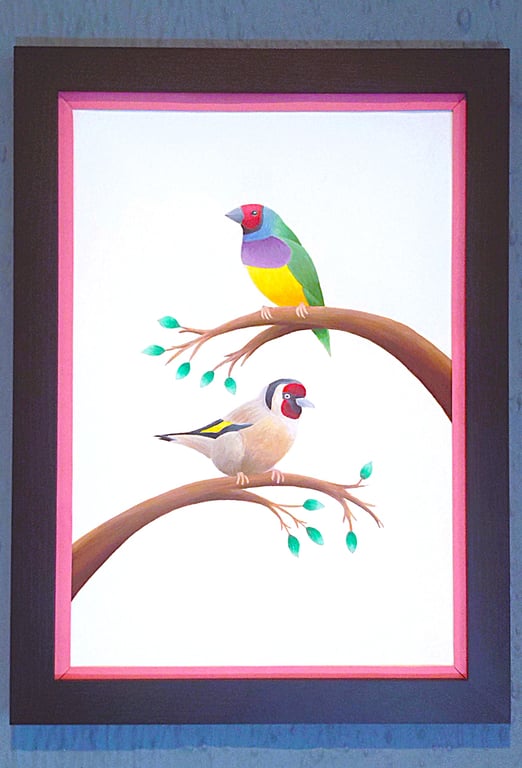 Handmade Framed A3 Print Colourful Gouldian GoldFinch Pink Border Wallart
