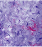 "Lavender Dreams"Original Handmade Abstract Acrylic Painting - Image 5