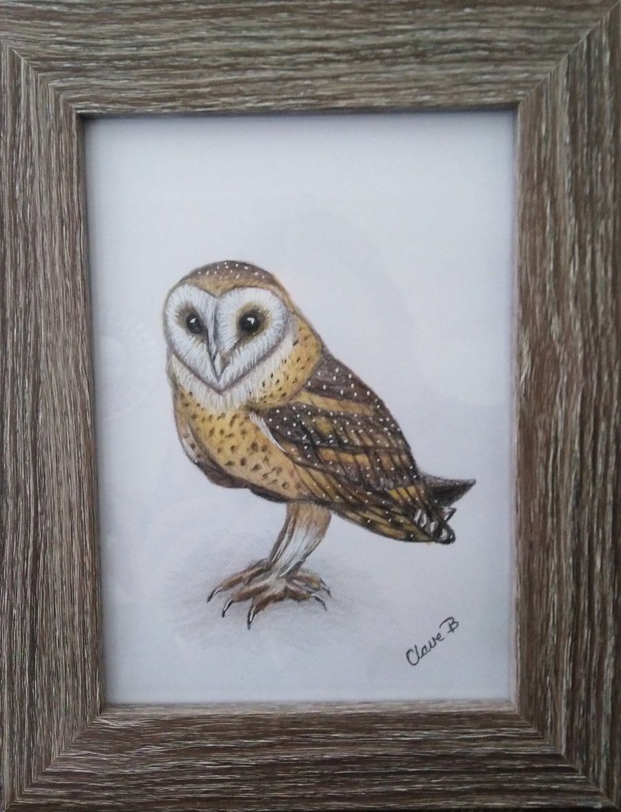 Hand drawn framed owl wall art
