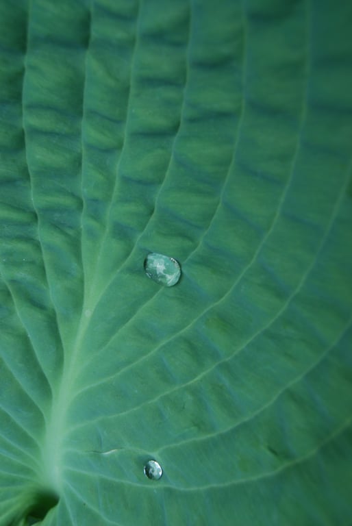 Generic Art for Corporate Spaces. Wall Print. 01. acab. 2026.