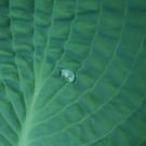 Generic Art for Corporate Spaces. Wall Print. 01. acab. 2026.