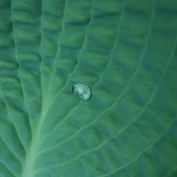 Generic Art for Corporate Spaces. Wall Print. 01. acab. 2026.