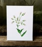 Bladder Campion Acrylic Painting 