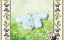 Pip Squeaks (Young Mice), Cotton Tails (Young Bunnies) and Clothes