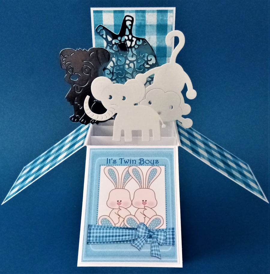 Twin Baby Boy's Card