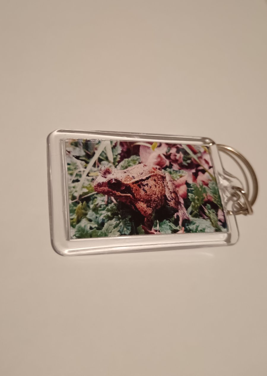 Frog themed photography keyring