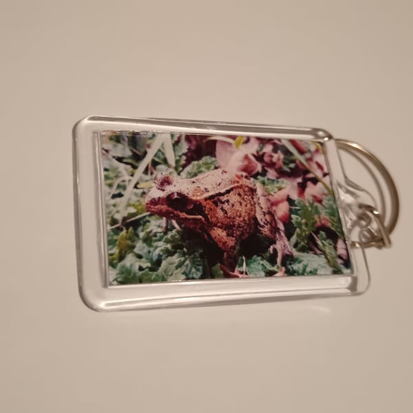 Frog themed photography keyring